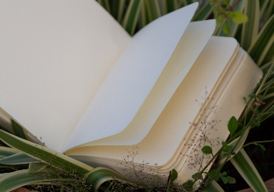 Picture of Sevendaysnotes 365 Days Green Cover Notebook