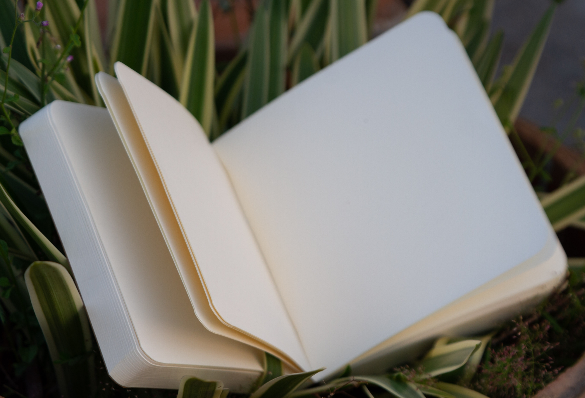 Picture of Sevendaysnotes 365 Days Green Cover Notebook