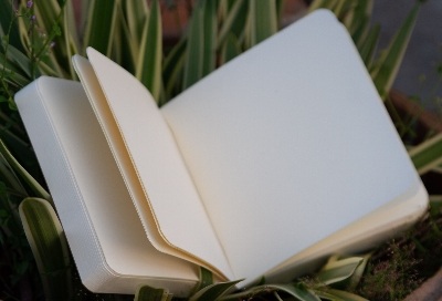 Picture of Sevendaysnotes 365 Days Green Cover Notebook