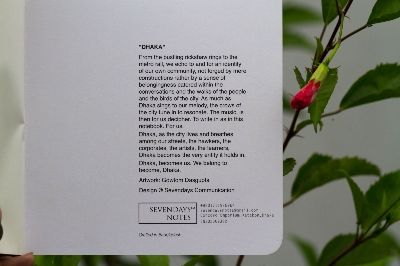 Picture of Dhaka (Line) White Cover Notebook (SN202309382)