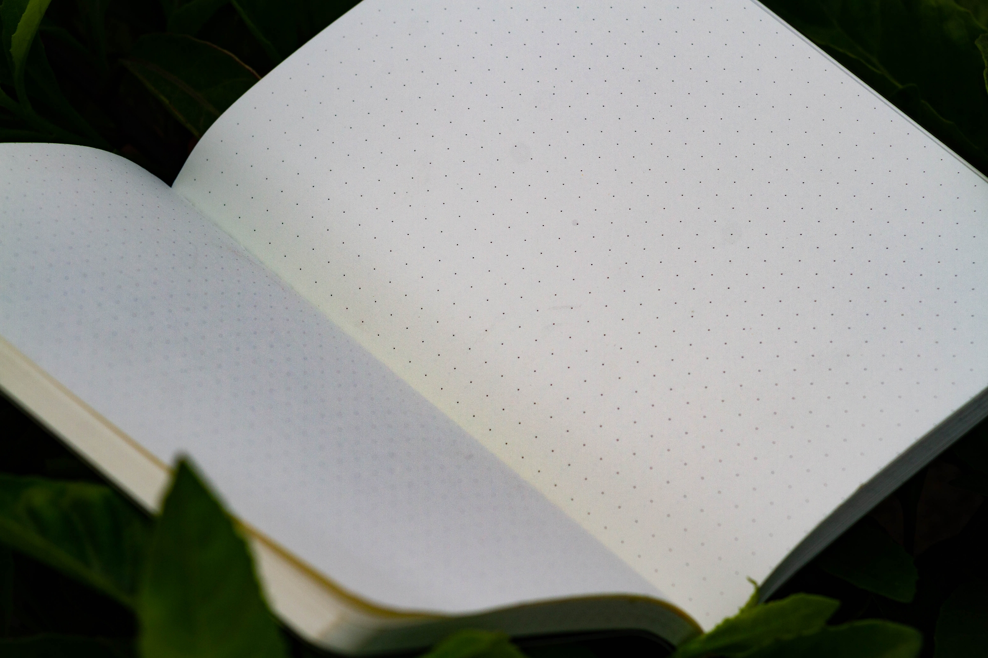 Picture of Work Size Dhaka (Line) White Cover Notebook (SN202309382)