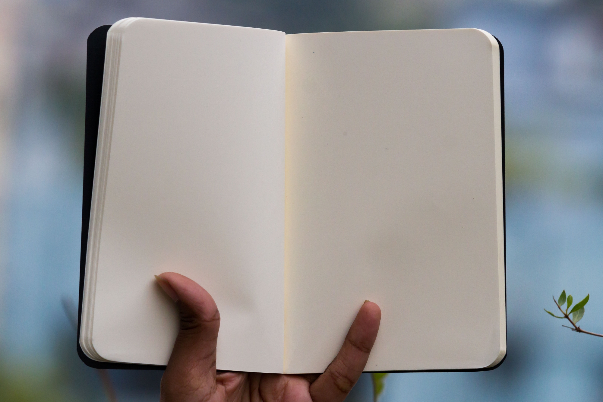 Picture of Pocket Book Green Notebook