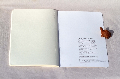 Picture of Nosto Hoi Na Jibon Sudhu Kosto Hoi (Calligraphy) Notebook (SN202203159)