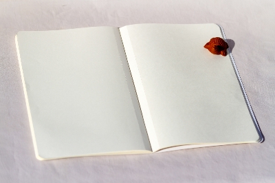 Picture of Rup (Calligraphy) Notebook (SN202203162)