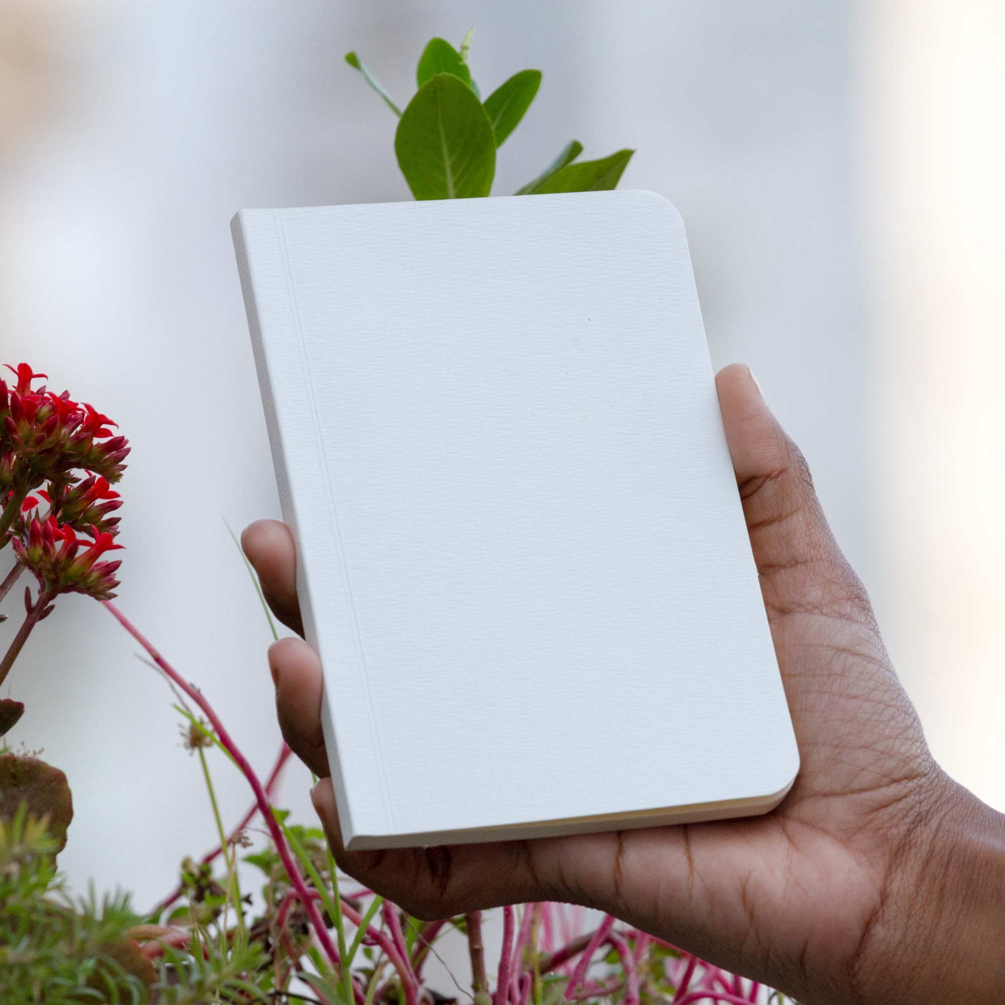 Picture of Pocket Book White Notebook