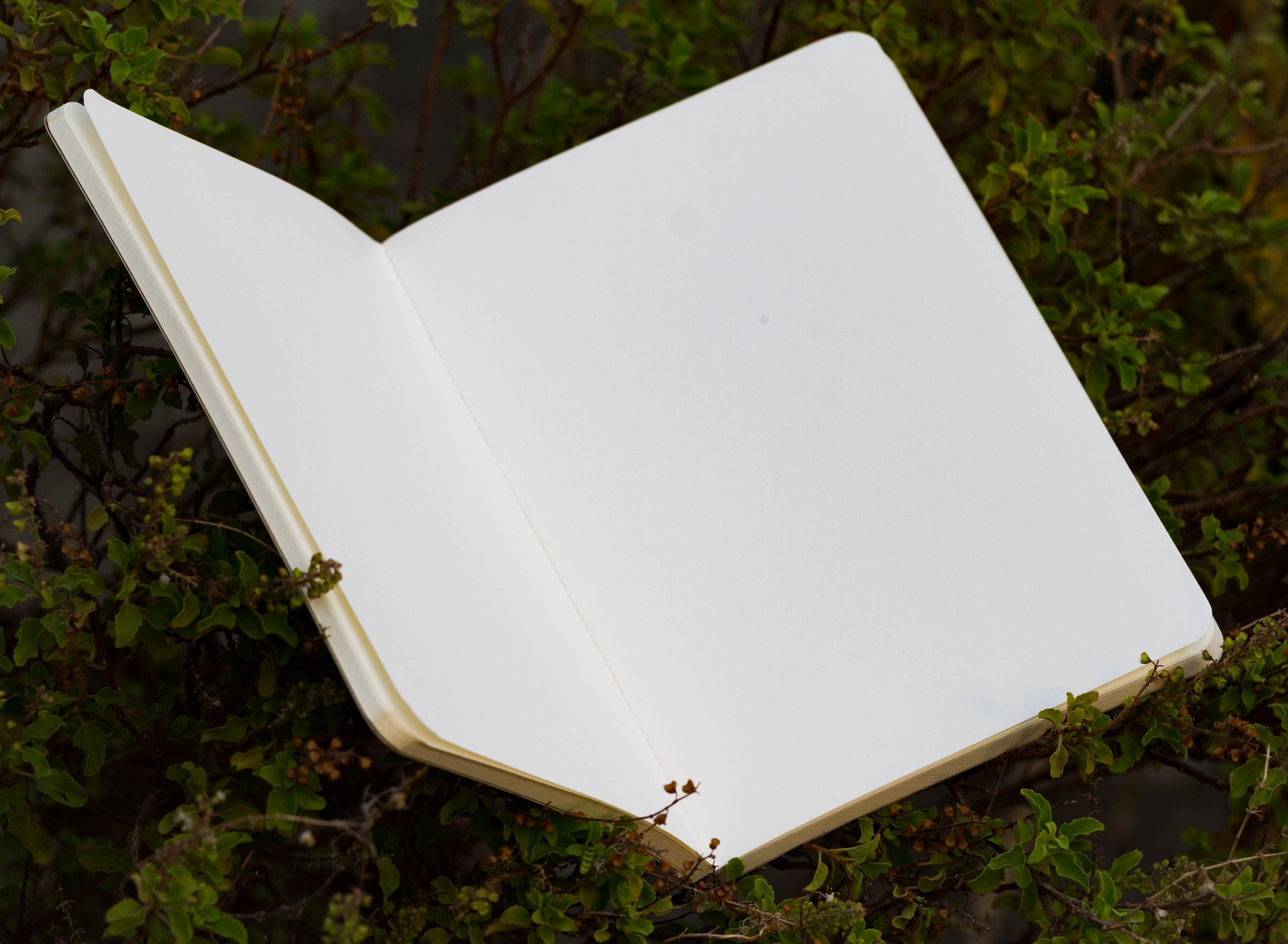 Picture of Work Size Dhaka (Line) Black Cover Notebook (SN202309382)