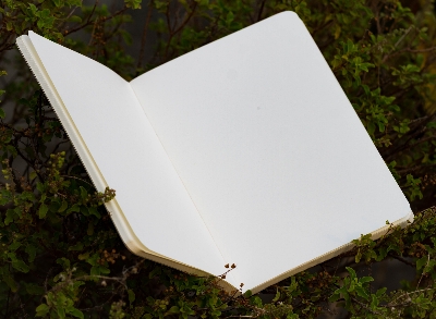 Picture of Work Size Dhaka (Line) Kraft Cover Notebook (SN202309382)