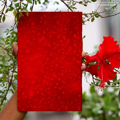 Picture of Onassadito Anondo Notebook (SN202408405)