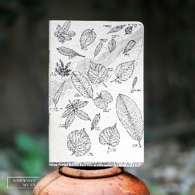 Picture of Leaves Notebook (SN202505196)