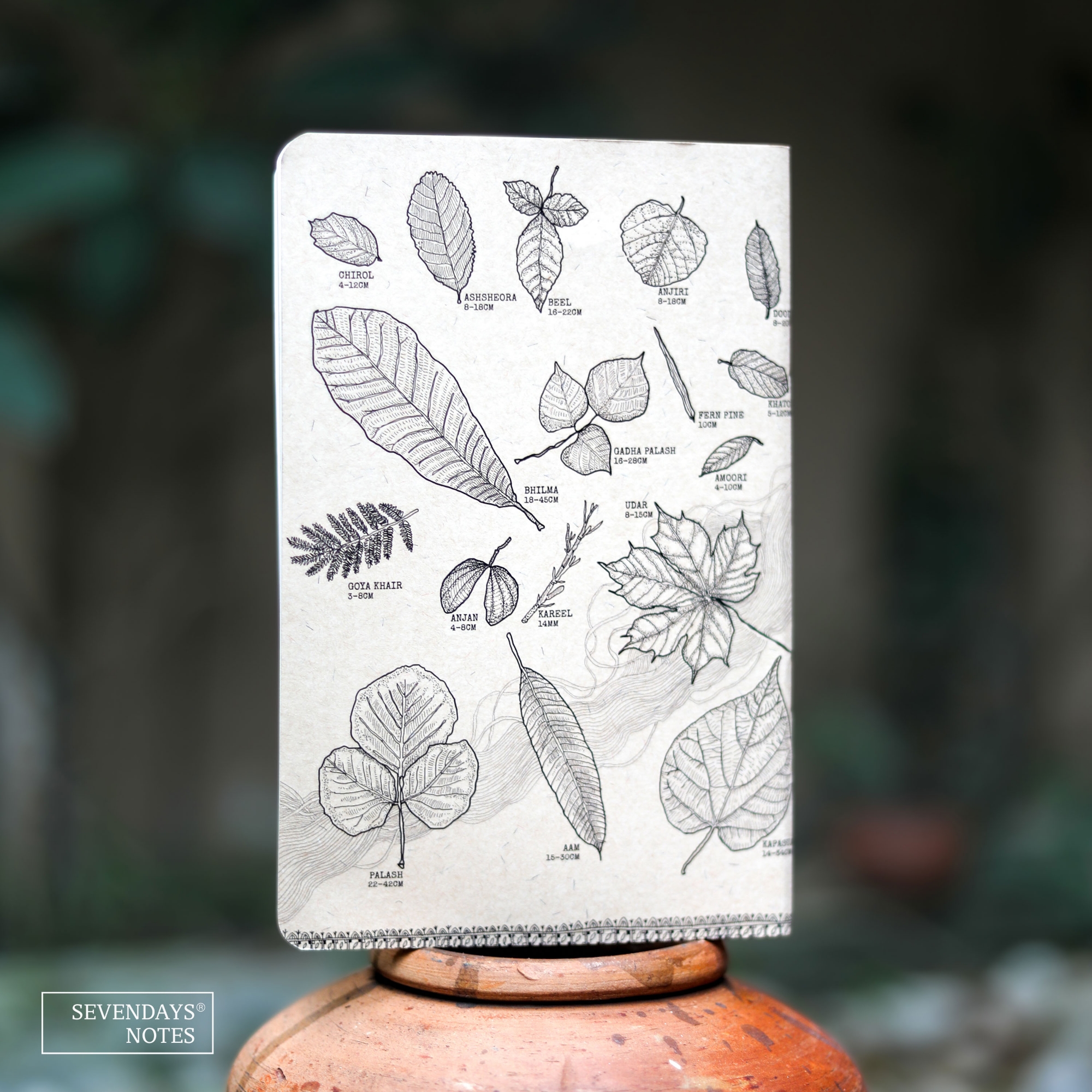 Picture of Leaves Notebook (SN202505196)