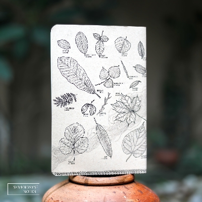 Picture of Leaves Notebook (SN202505196)