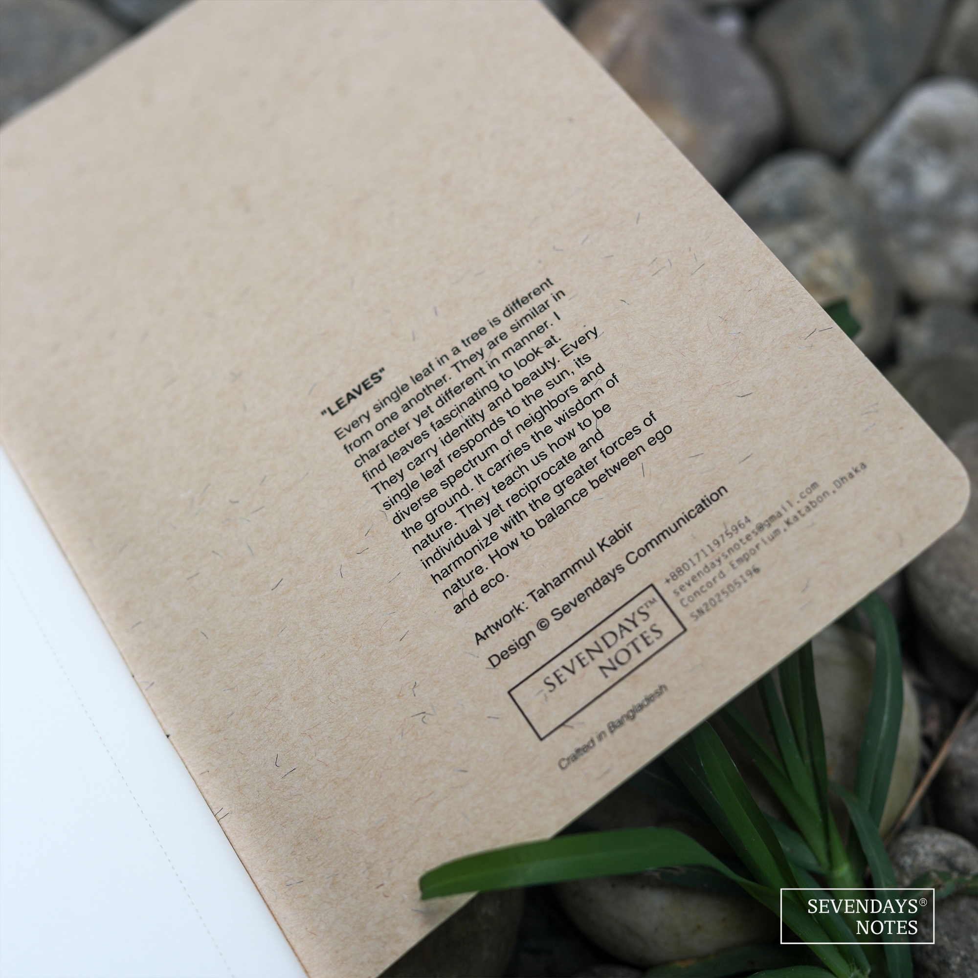 Picture of Leaves Notebook (SN202505196)