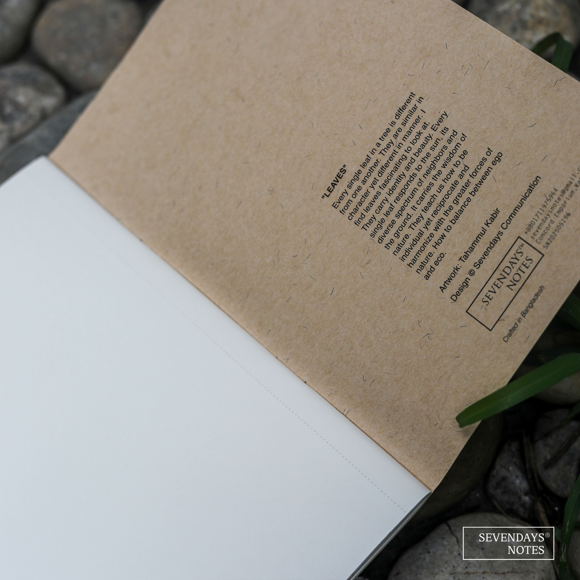 Picture of Leaves Notebook (SN202505196)