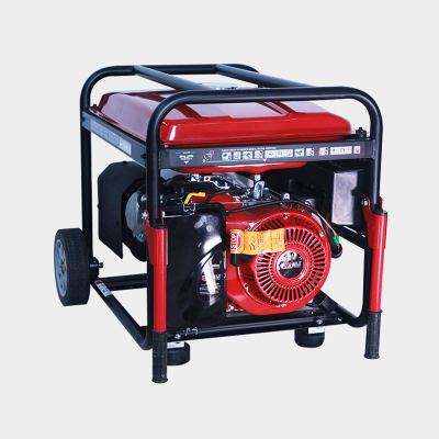 SONALI 5.5KW LPG Dual Fuel Generator SPL6600E-DF