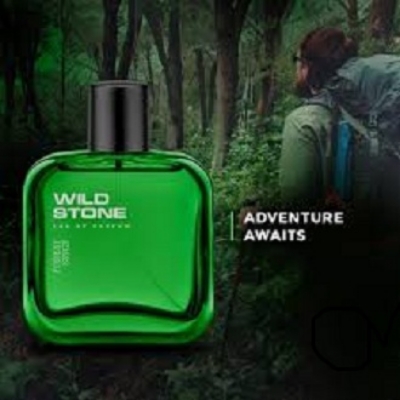 Picture of International Indian Product Wild Stone Forest Spice Perfume for Men –50ml