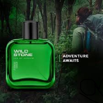 Picture of International Indian Product Wild Stone Forest Spice Perfume for Men –50ml