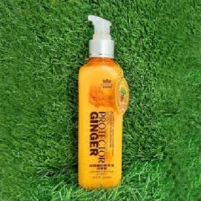 Picture of International China product Hair care Protector ginger shampoo - 260 ml