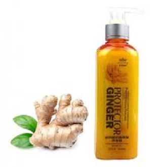 Picture of International China product Hair care Protector ginger shampoo - 260 ml