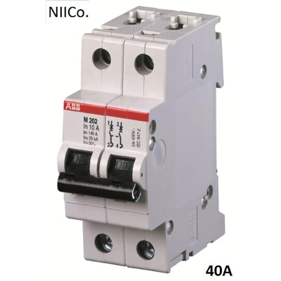 Picture of ABB Circuit Breaker Heavy Duty- MCB-Double Pole 40 A ( Made In Germany)