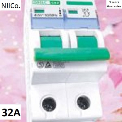 Picture of P-TECH  Circuit Breaker  MCB-Double Pole 32Amp