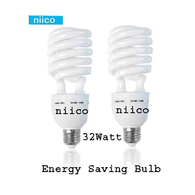 Picture of Energy Saving Light 32 Watt (Pass System)