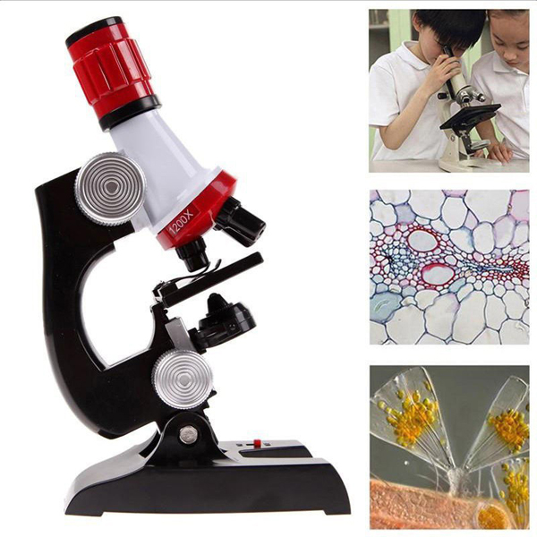 1200X Biological Microscope Educational Toys for Kids ZangSportsonline shop bangladeshothoba.com