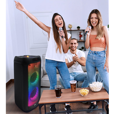 Buy VISION Party Speaker Beat Booster 201 Online at Best Price