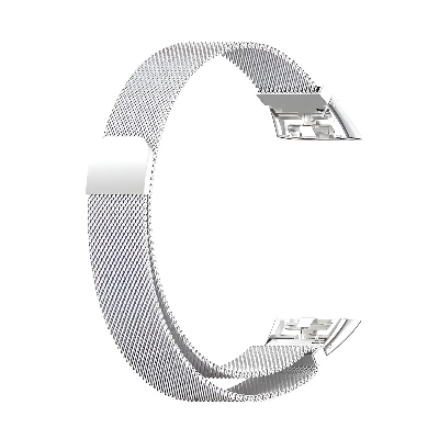 Picture of Honor Band 6 Metal Straps