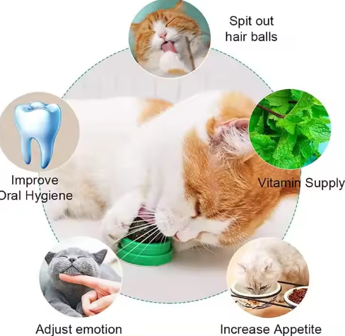 Picture of Catnip Cat Wall Stick-On Ball Toy Treats Licking Catnip Toys for Cat Interactive Ball Cats Mint Toy