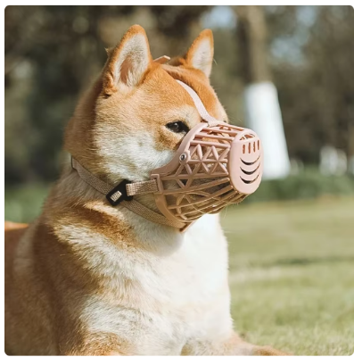 Picture of Resistant plastic and leather straps for dogs, exercise accessories with adjustable straps, small size for small and medium dogs