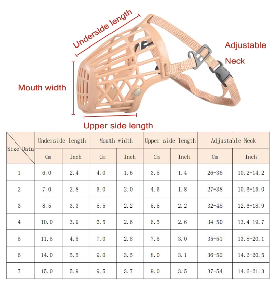 Picture of Resistant plastic and leather straps for dogs, exercise accessories with adjustable straps, small size for small and medium dogs