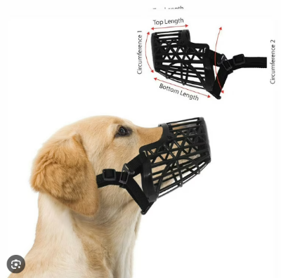 Picture of Resistant plastic and leather straps for dogs, exercise accessories with adjustable straps, small size for small and medium dogs