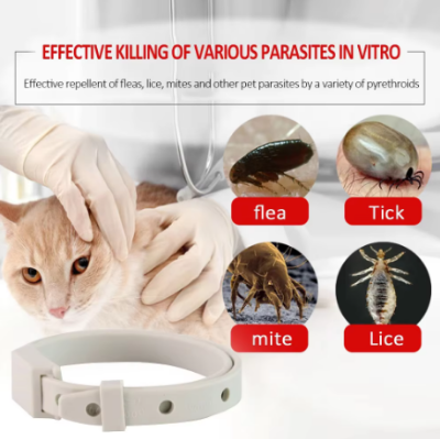 Picture of Anti Flea Tick Collar Neck Belt For Cat Small Dog Antiparasitic 8Month Protection Adjustable Cat  Puppy Collar Breakaway Pet Accessories
