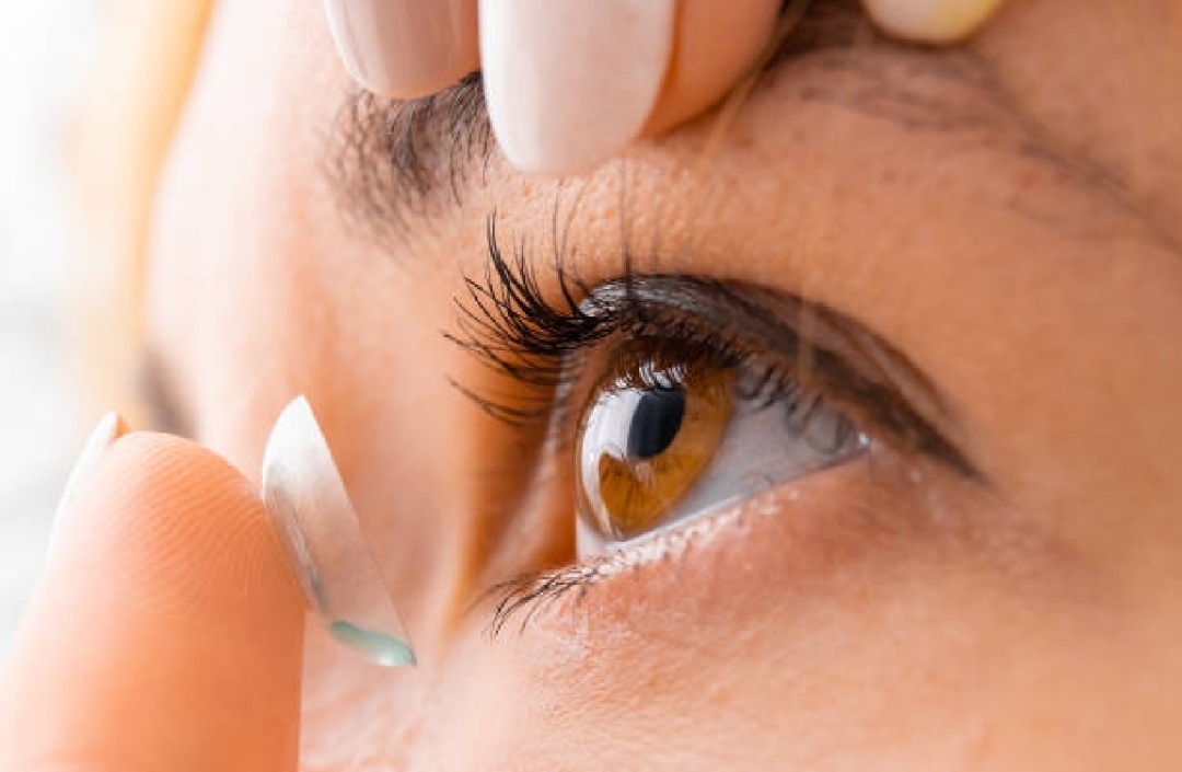 Picture of Grey FRESHLOOK Power Contact Lens with kit box(Lens case) SPH -1.00 - 6.00 TPF