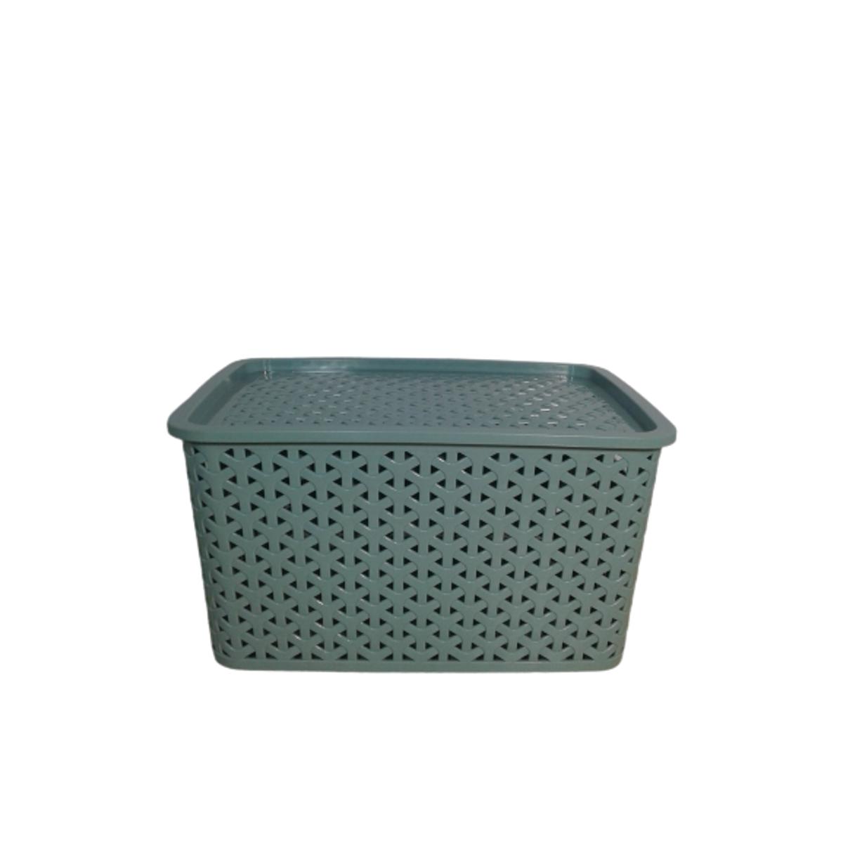 Picture of Plastic Storage Box-Multicolor