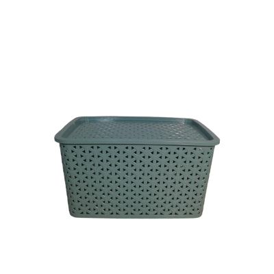 Picture of Plastic Storage Box-Multicolor