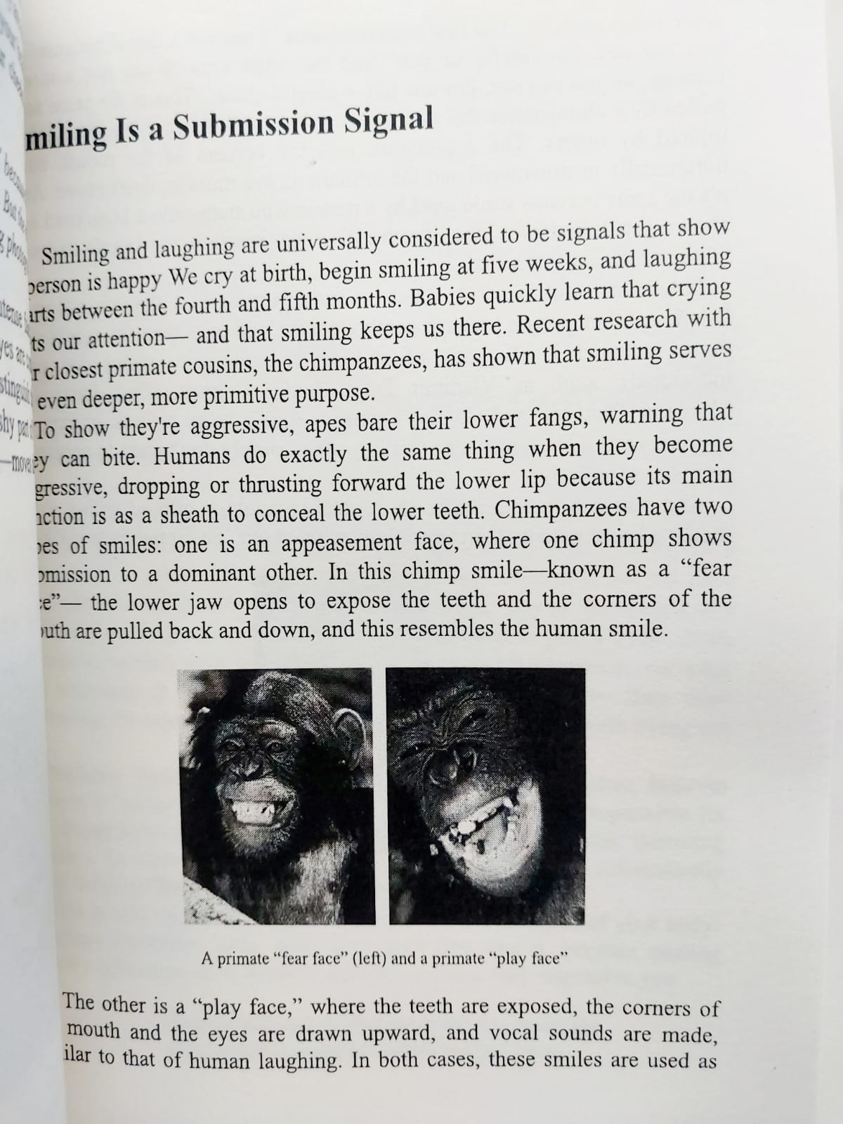 Picture of The Definitive Book of Body Language by Barbara Pease