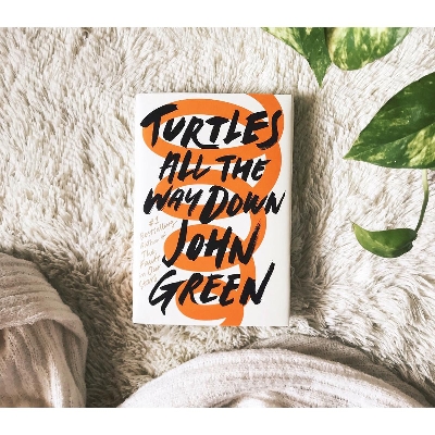 Picture of Turtles All the Way Down by John Green