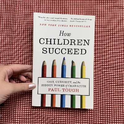 Picture of How Children Succeed by Paul Tough