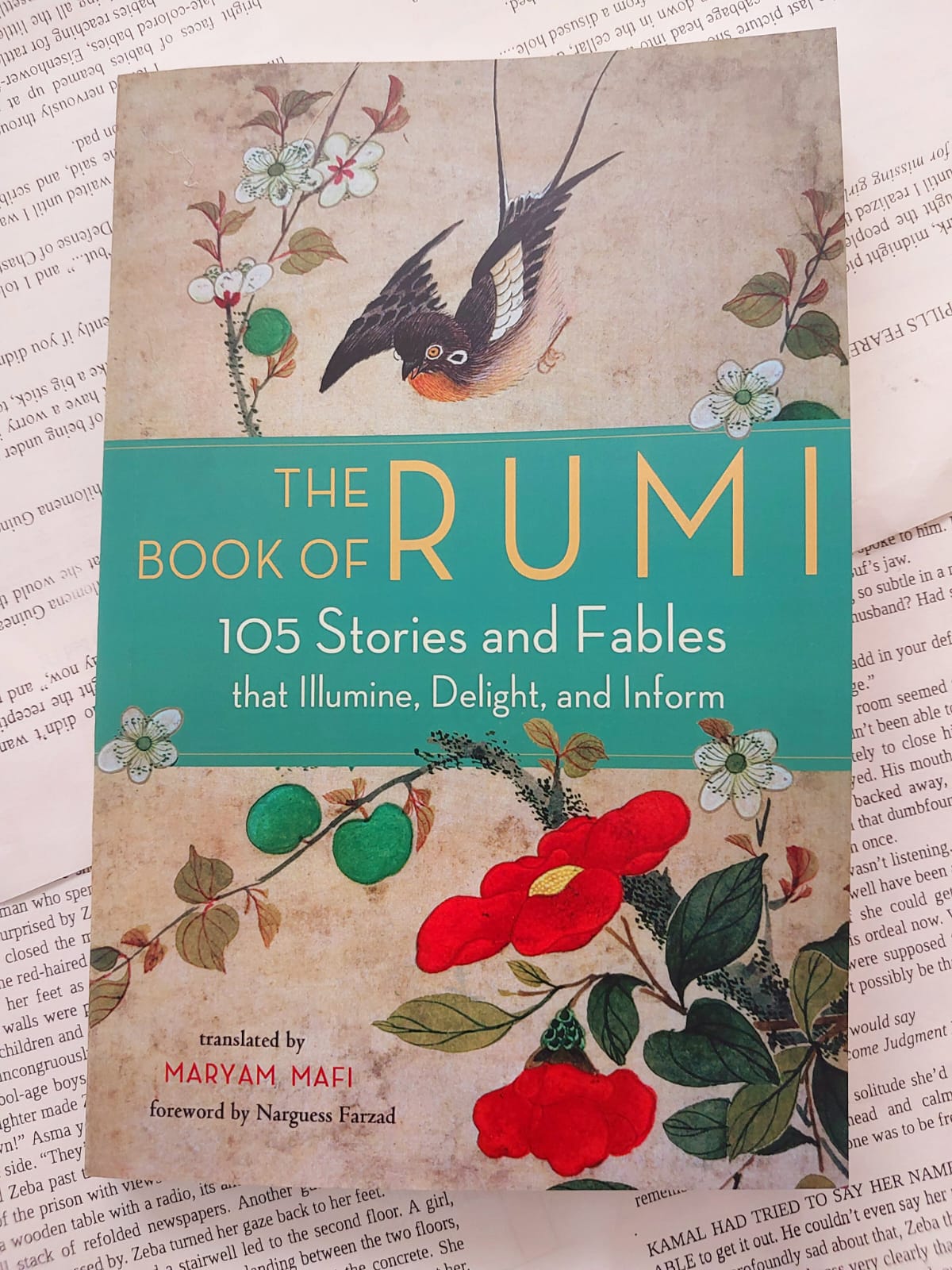 Picture of The Book of Rumi: 105 Stories and Fables that Illumine, Delight, and Inform - Paperback