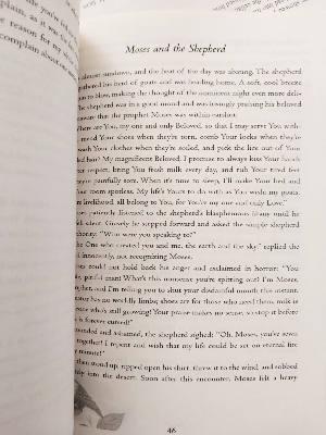 Picture of The Book of Rumi: 105 Stories and Fables that Illumine, Delight, and Inform - Paperback