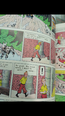 Picture of The Adventures of Tintin by Herge(25 books series) English- Color -Paperback