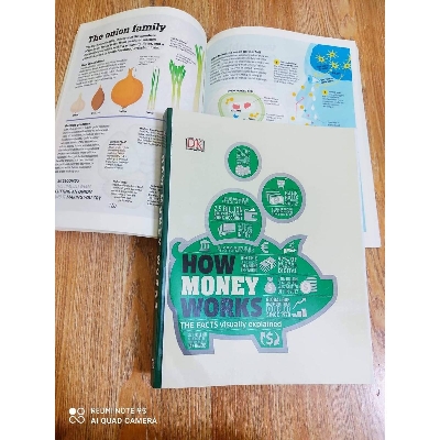 Picture of How Money Works: The Facts Visually Explained (Premium Quality Color Print)