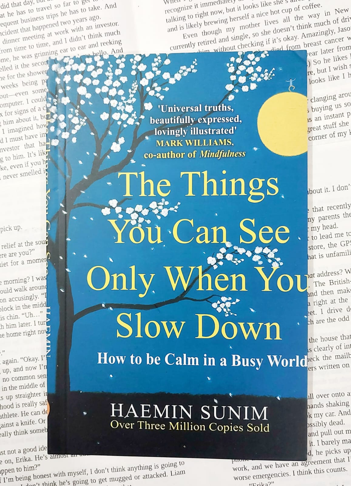 Picture of The Things You Can See Only When You Slow Down by Haemin Sunim - Paperback