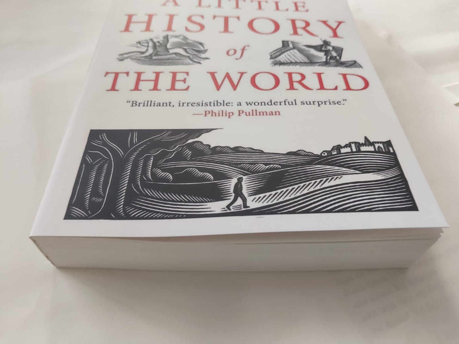 Picture of A Little History of the World by Ernst Gombrich - Premium - Paperback