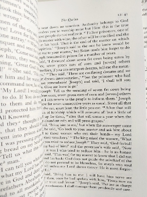 Picture of The Qu'ran: A New Translation by M. A. S. Abdel Haleem (Paperback)