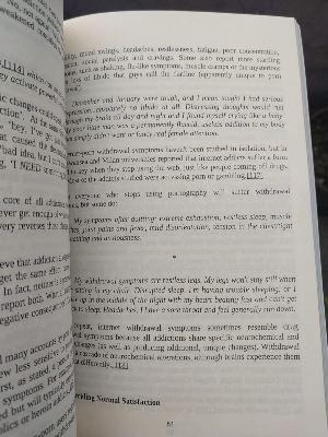 Picture of Your Brain on Por_n: Internetgraphy and the Emerging Science of Addiction by Gary Wilson