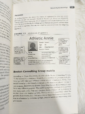 Picture of Digital Marketing Strategy: An Integrated Approach to Online Marketing by Simon Kingsnorth