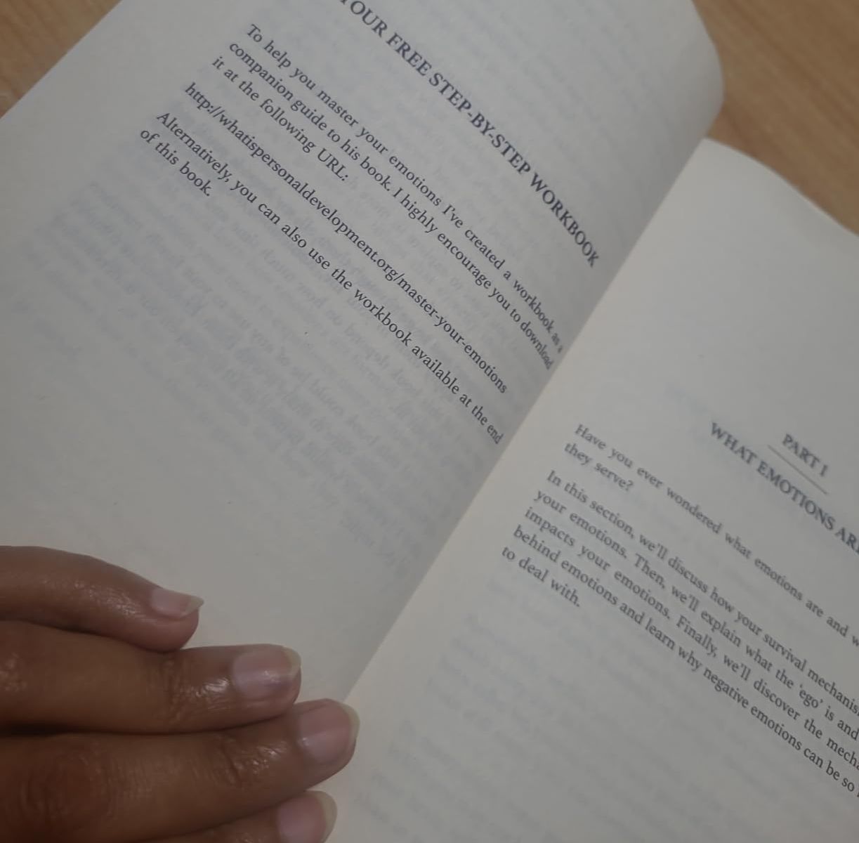 Picture of Master Your Emotions by Thibaut Meurisse - Premium - Paperback