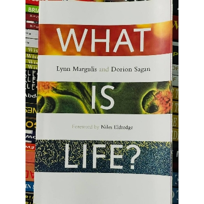 Picture of What is life? by Lynn Margulis by Lynn Margulis and dorion  sagan
